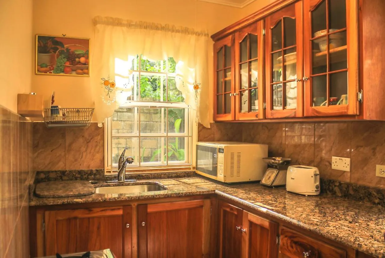 Willowdene Vacation Home Spanish Town Apartment