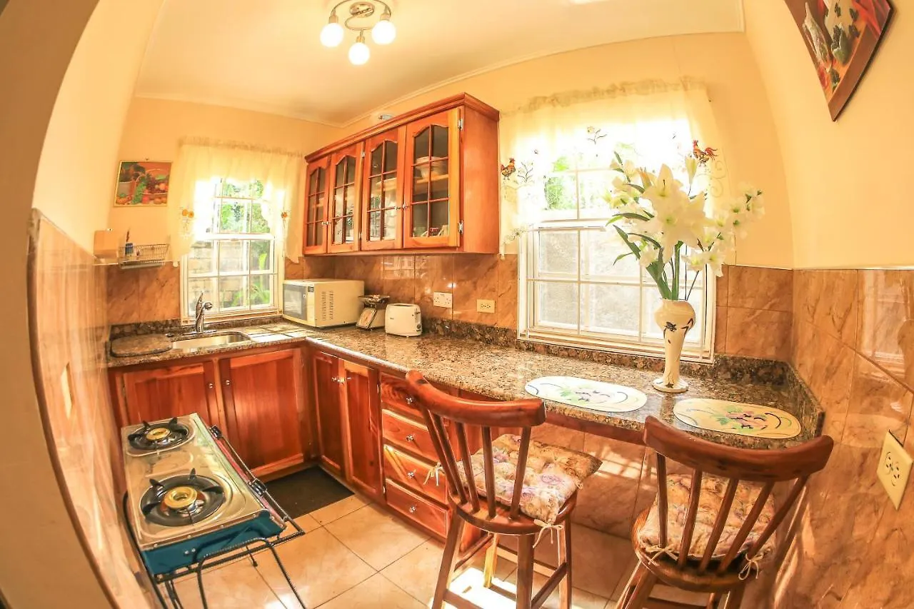 Willowdene Vacation Home Spanish Town 0*,  Jamaica