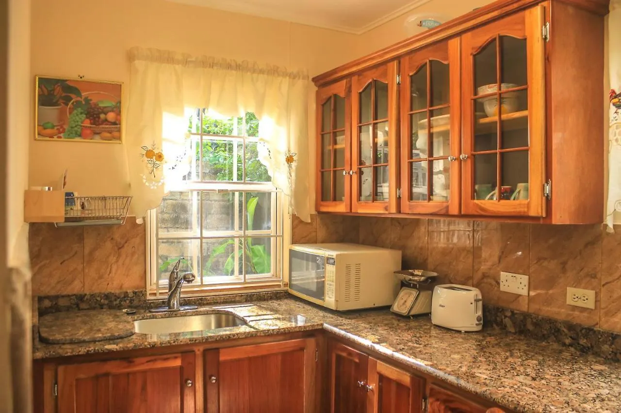 Willowdene Vacation Home Spanish Town