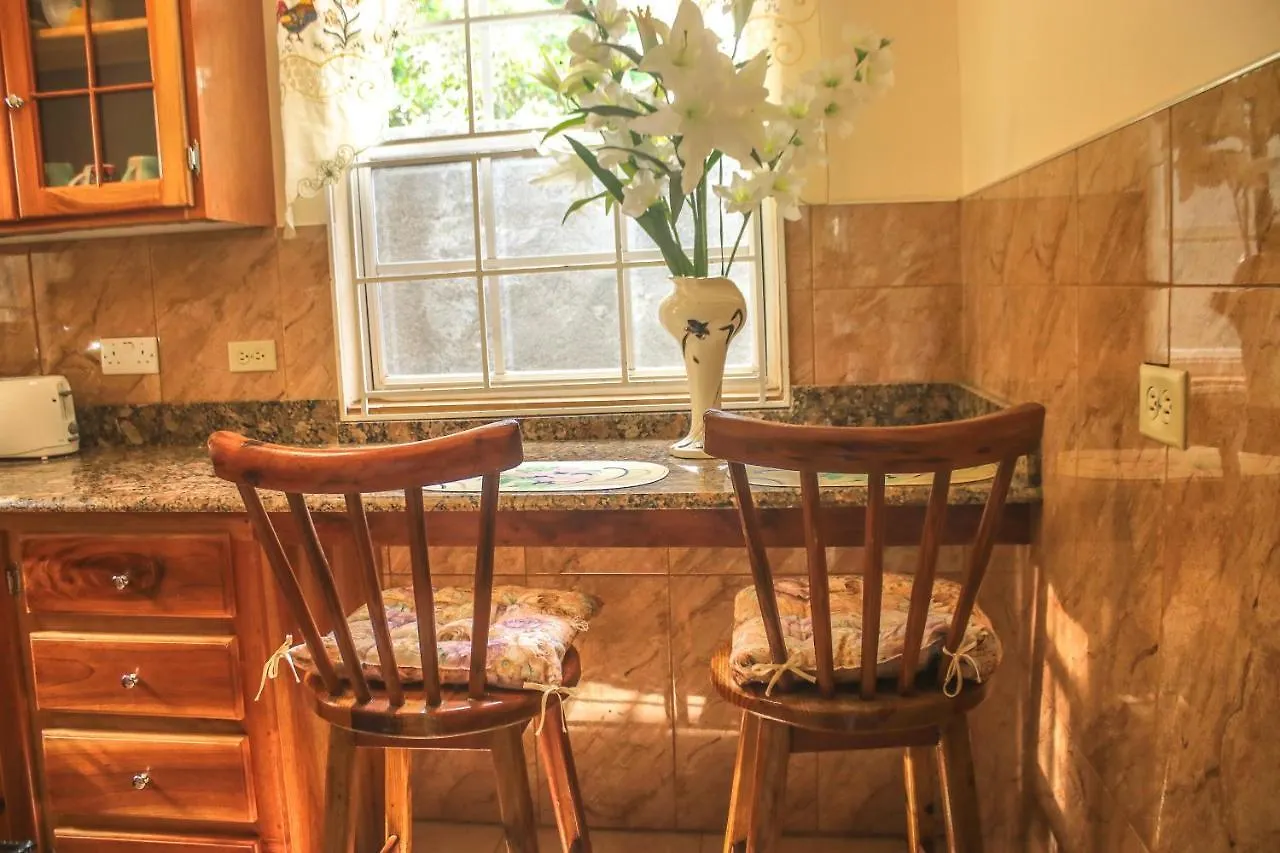 Willowdene Vacation Home Spanish Town Apartment