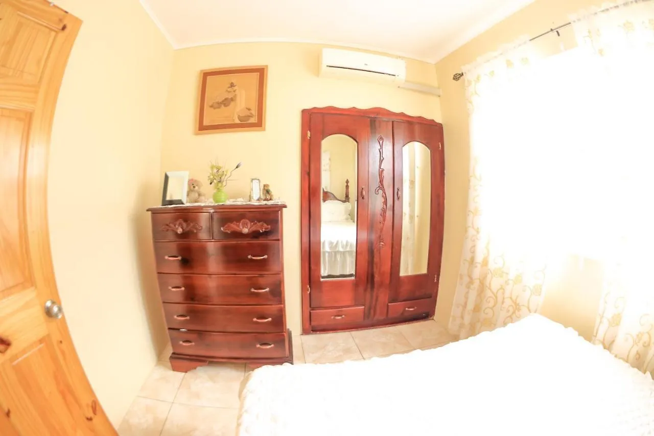Willowdene Vacation Home Spanish Town Apartment