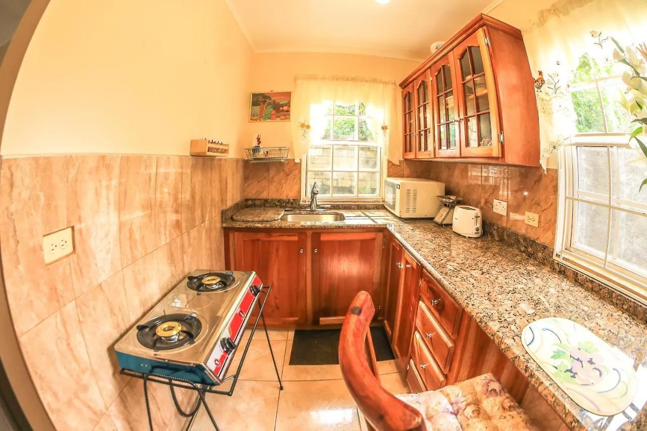 Willowdene Vacation Home Spanish Town Apartment