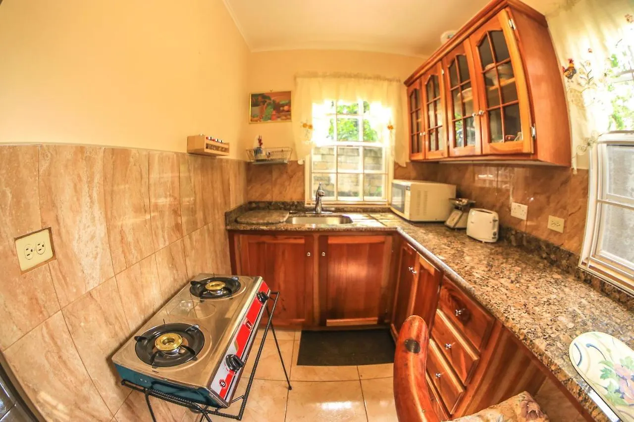 Willowdene Vacation Home Spanish Town Jamaica